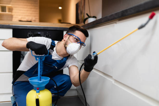 Best Local Pest Control Services  in Crest, CA