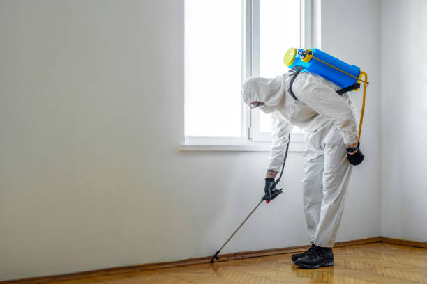 Best Pest Control Treatment  in Crest, CA